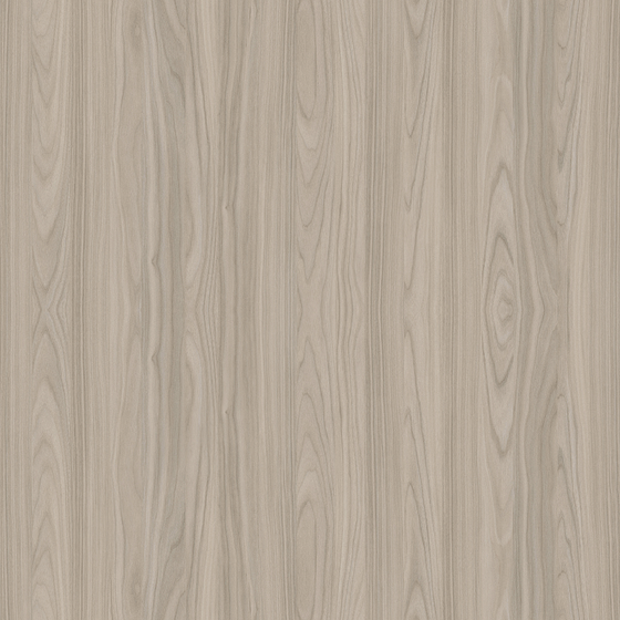 Walnut 3D Model in Gray