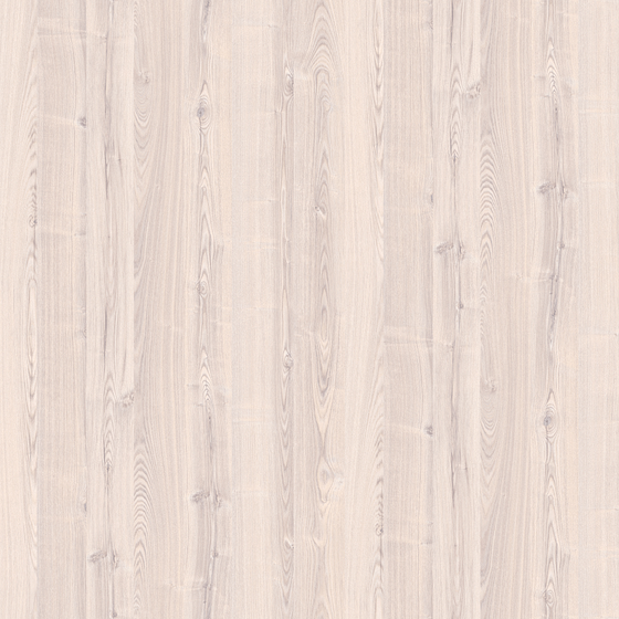 Walnut 3D Model in Earth Color