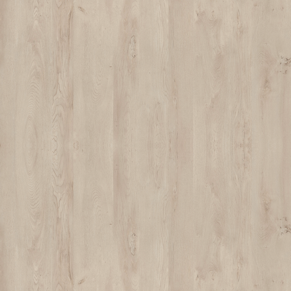 Oak-High Gloss