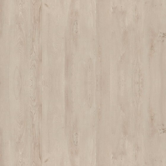 Oak High Gloss 3D Model in Earth Color