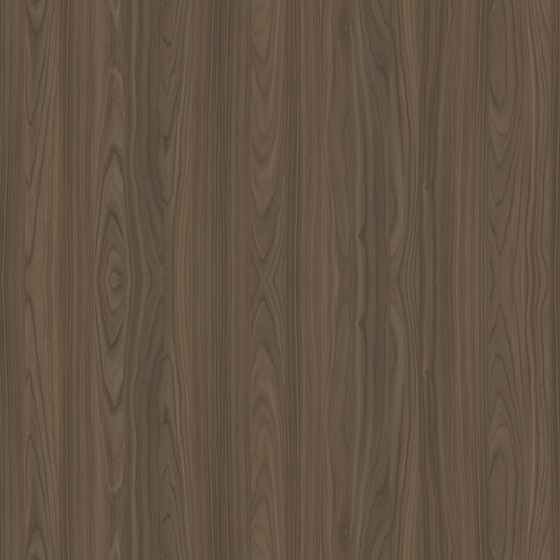Walnut 3D Model in Gray