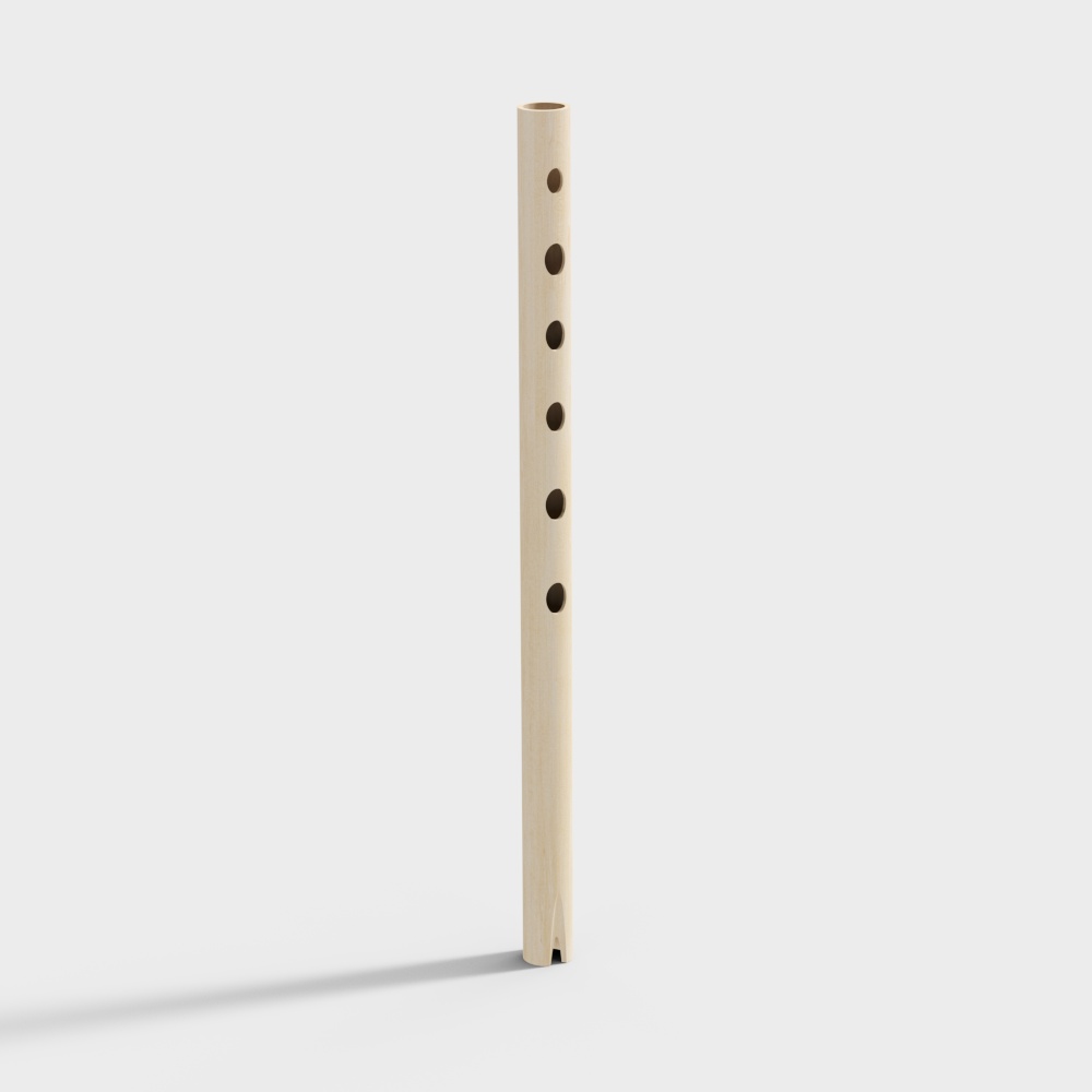 Classroom modern flute