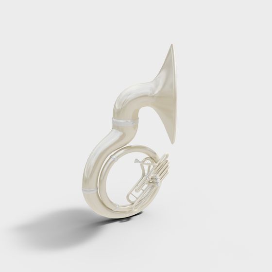 Магазин музыкальных инструментов современная туба