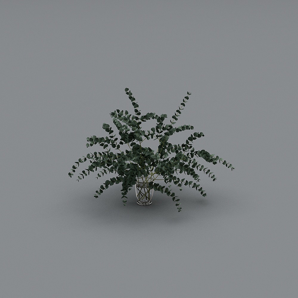 Eucalyptus Bouquet 3D model