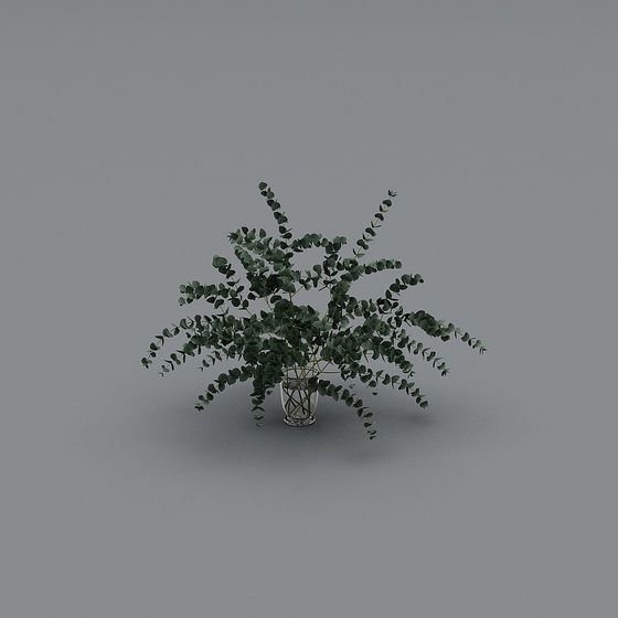 Eucalyptus Bouquet 3D model