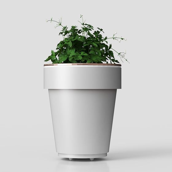 Minimalistic Planter Plant 3D model