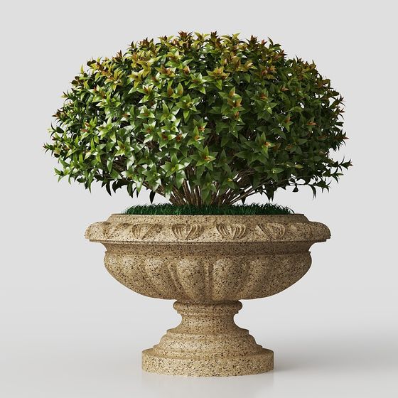 Exquisite Planter and Greenery 3D Model for Design Projects