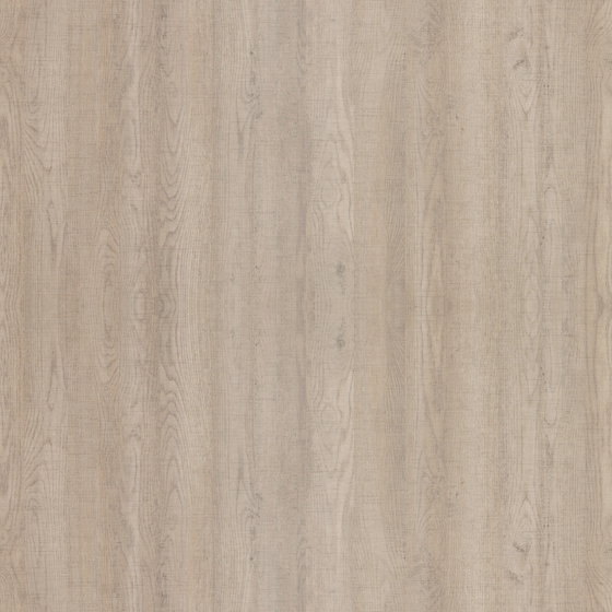 Oak Matte Material 3D Model in Earth Color