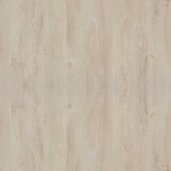 Oak Matte 3D Model in Earth Color