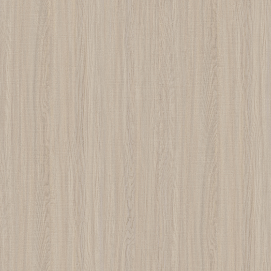 Oak Matte 3D Model in Earth Color