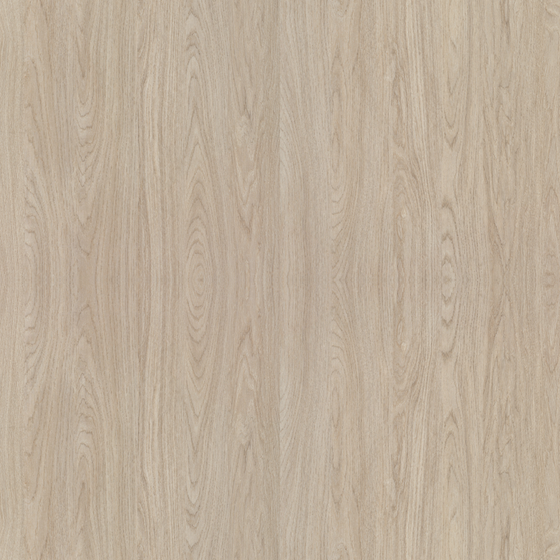 Oak Matte Material 3D Model in Earth Color