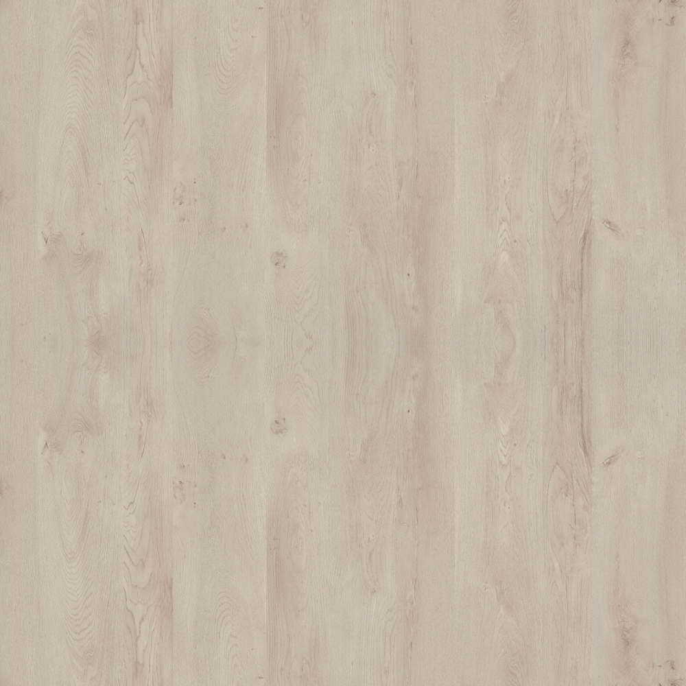Oak-High Gloss