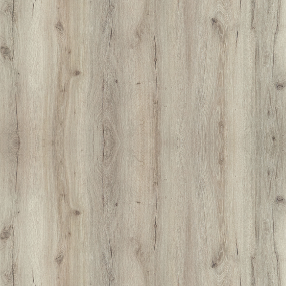 Oak-High Gloss 3D Model in Earth Color