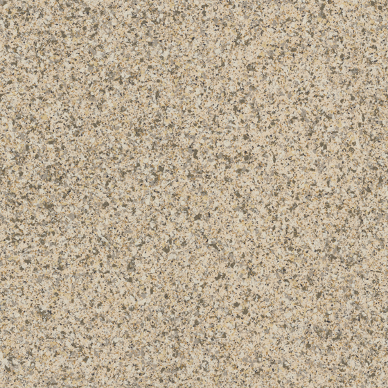 Authentic Wood Color Wall Paints and Coatings 3D Model