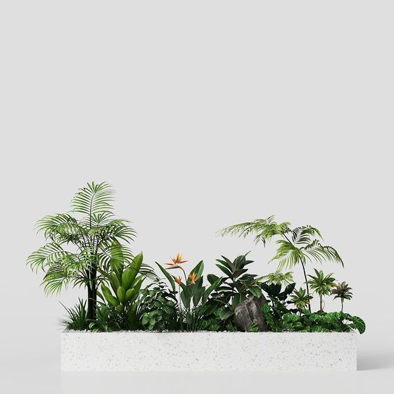 Tropical Garden 3D Model