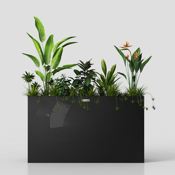 Urban Jungle Box 3D model for Creative Spaces