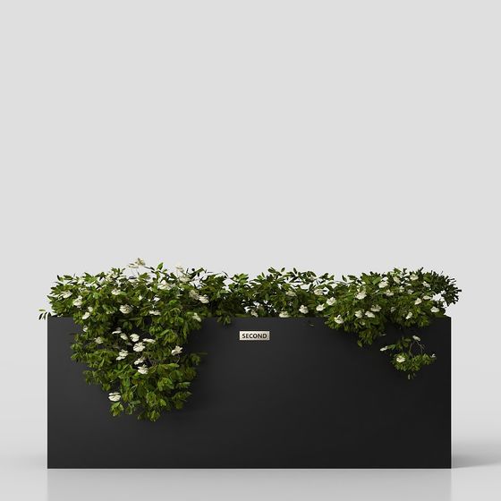 Contemporary Green Outdoor Plant Flower Box 3D Model