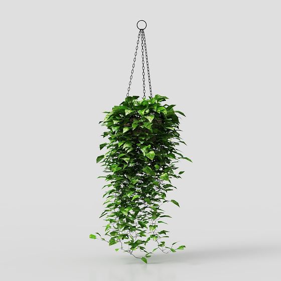 Hanging Plant 3D model Bringing Nature Indoors