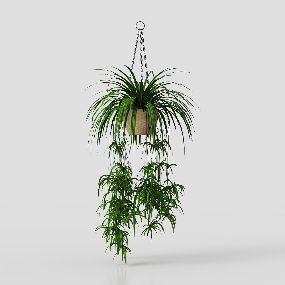 Plantas en macetas verdes colgantes