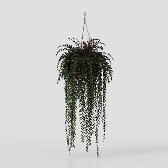 Suspended Green Plant 3D Model - Embrace Nature