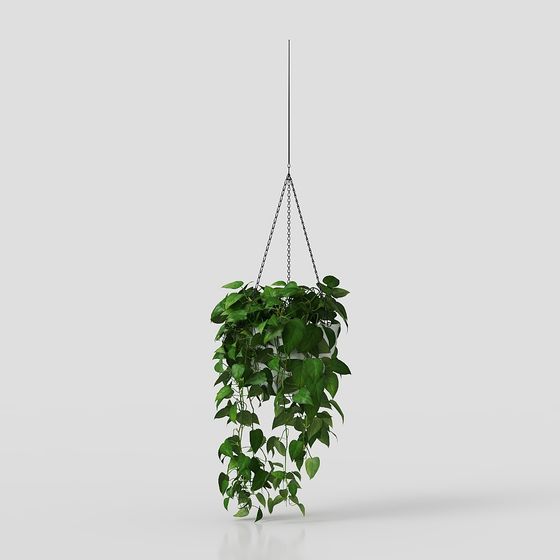 Hanging Green Plant 3D Model for Indoor Spaces
