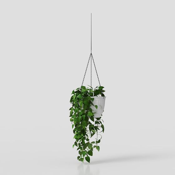 Hanging Green Plant 3D Model: Perfect Fusion of Nature and Modernity