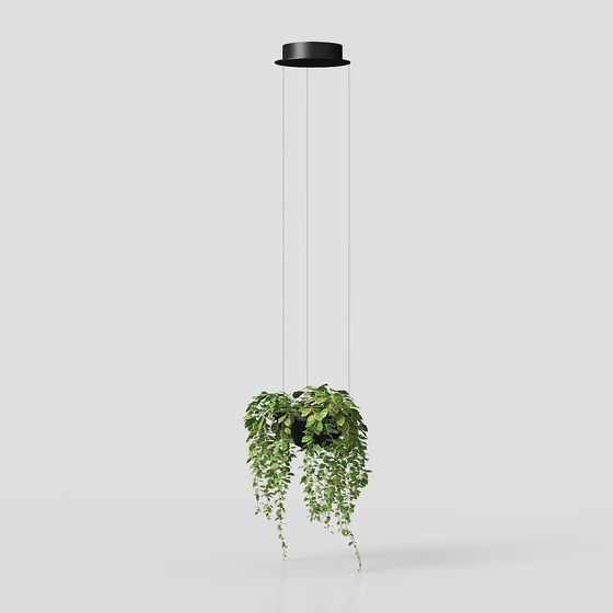 Modern Minimalist Hanging Plant Pendant Light 3D model