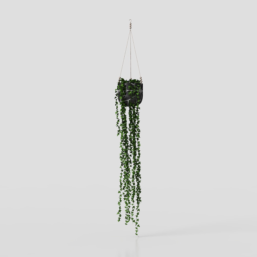 Periwinkle hanging basket