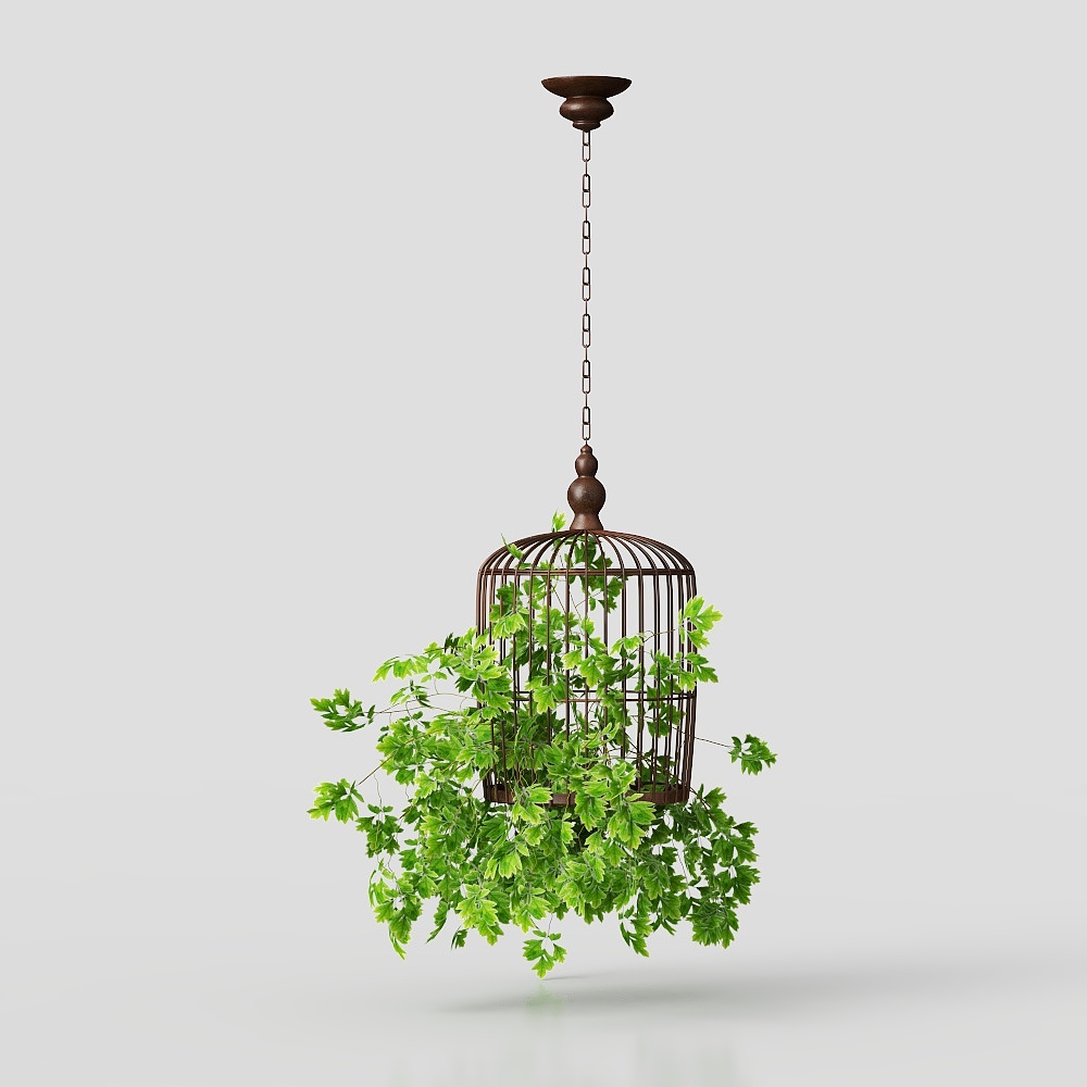 Adiantum green plant