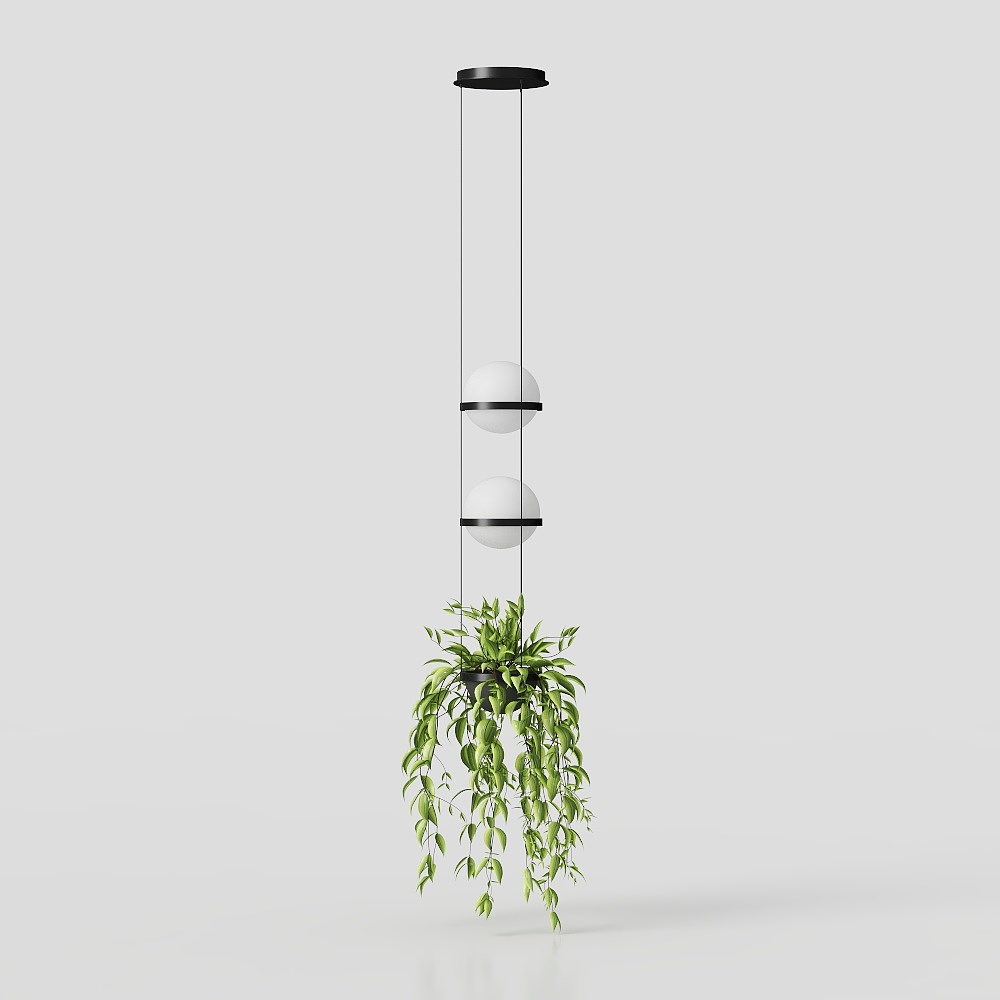 Hanging precious bamboo potted plants
