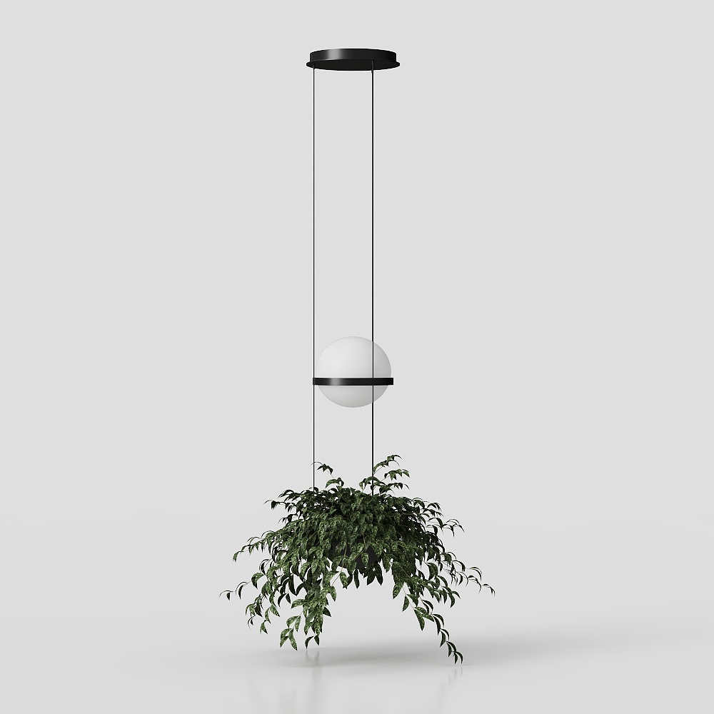 ต้นไม้ในกระถางแขวนสีเขียว