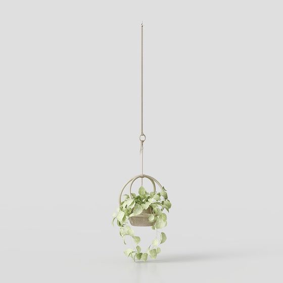 걸어 매달린 화분