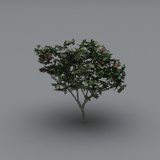 Garden Tree Low Polygon 3D model