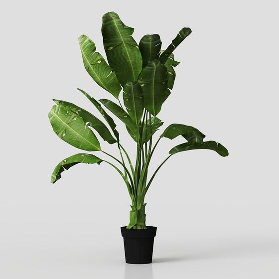 Realistic Low-Poly Banana Tree 3D model