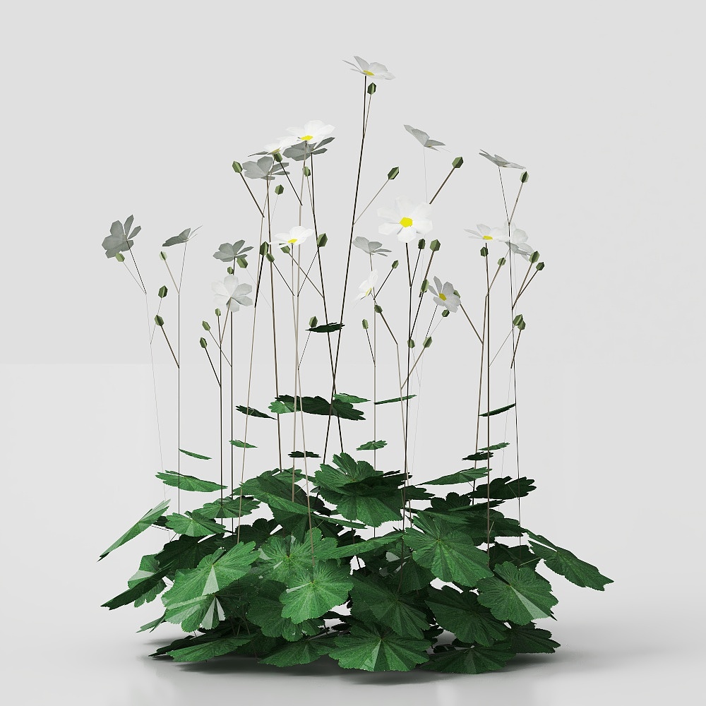 ดอกไม้ 2