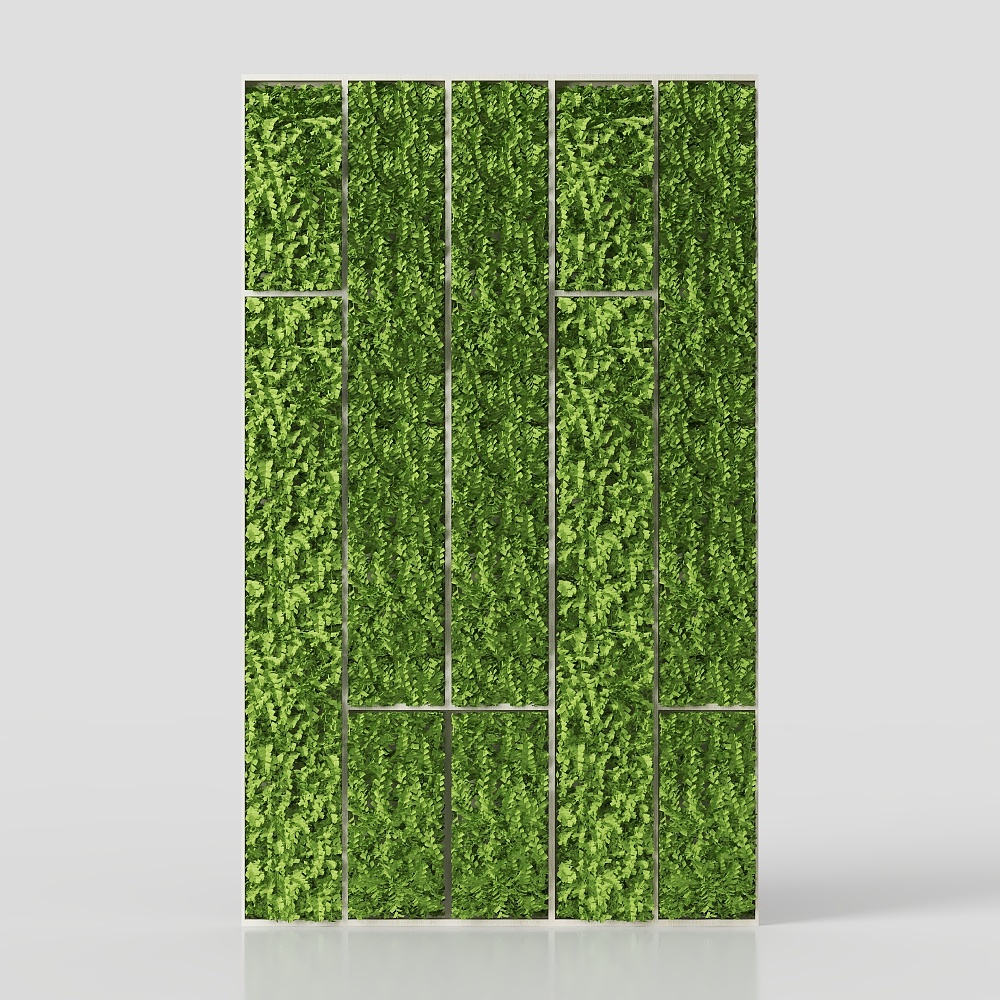 Piano Muro Paesaggio Erboso Fiorito