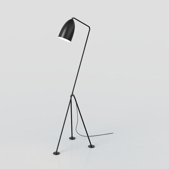 Elegant Floor Lamp 3D Model