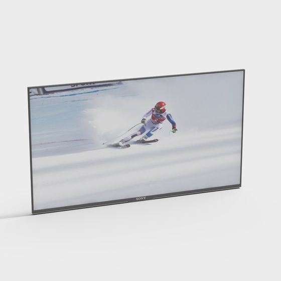 Extreme Skiing 3D model