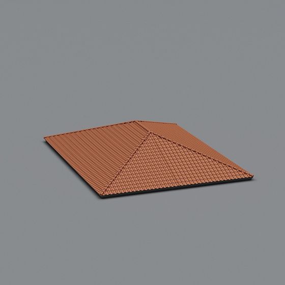 Rustic Roof 3D model