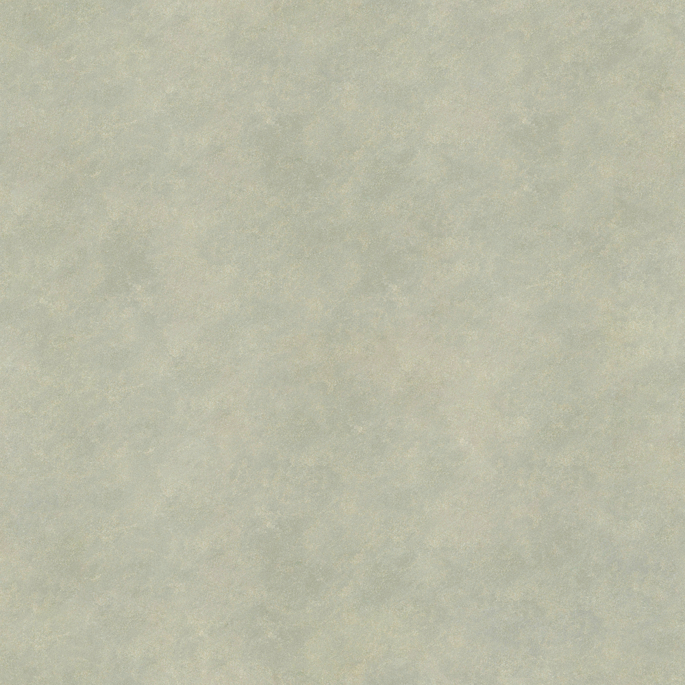 Wall paints/coatings