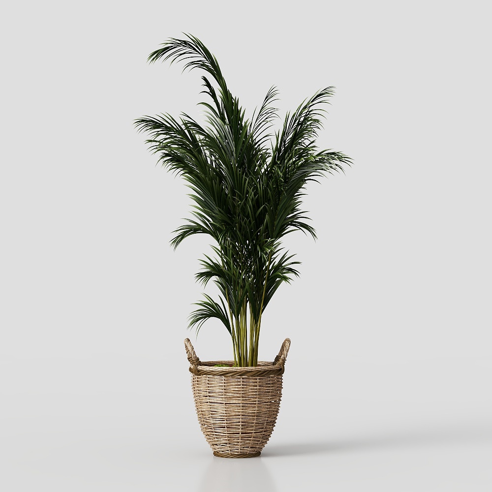 Planta verde en maceta