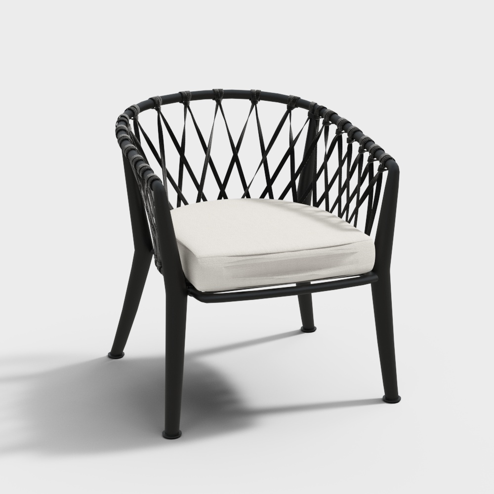 Lounge Dining Chair Contemporary