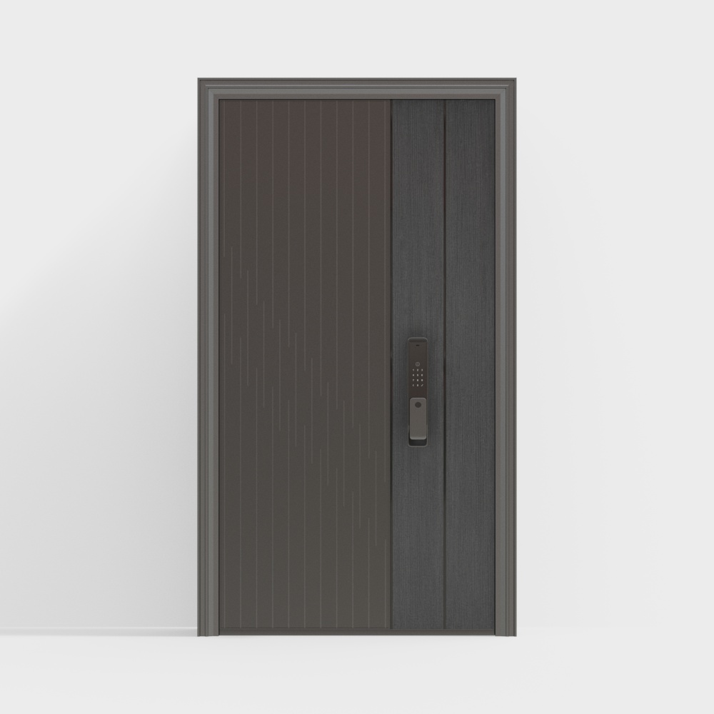 modern entrance door
