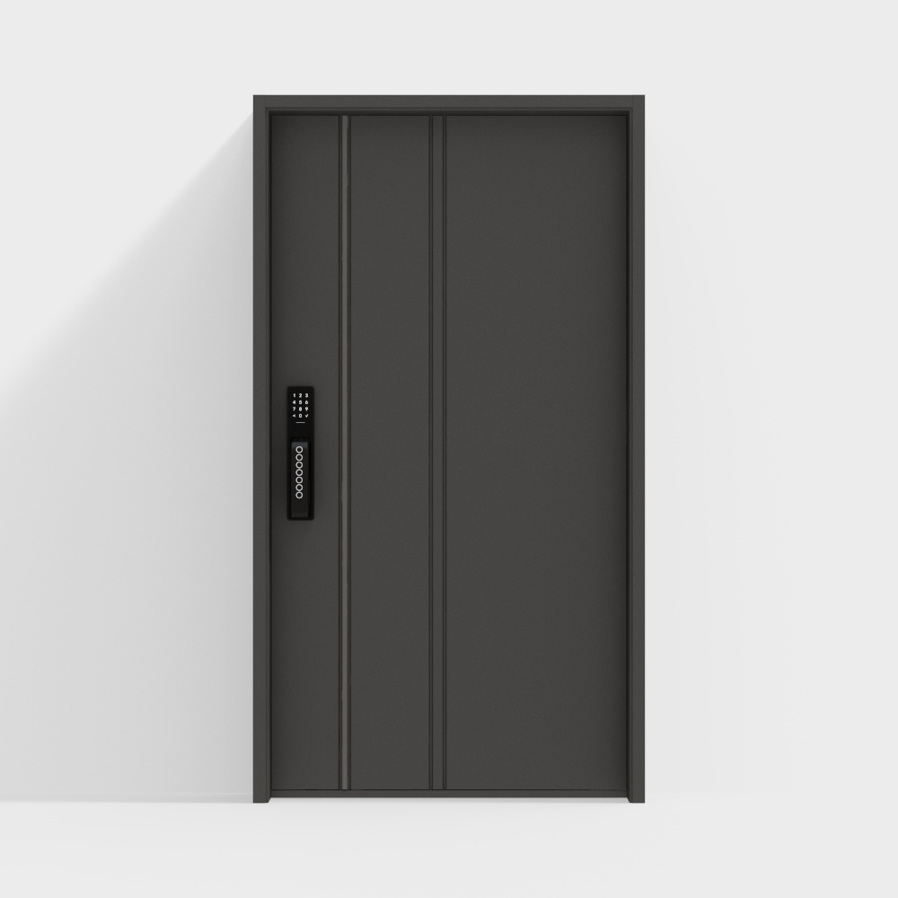 modern entrance door