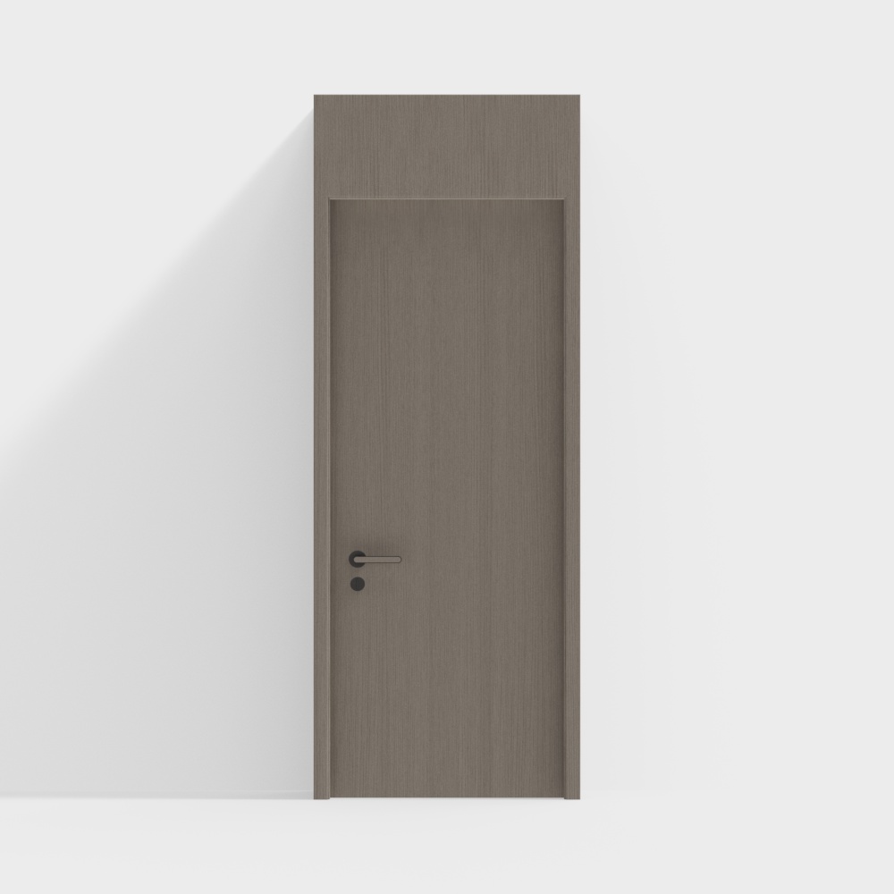 Modern single door