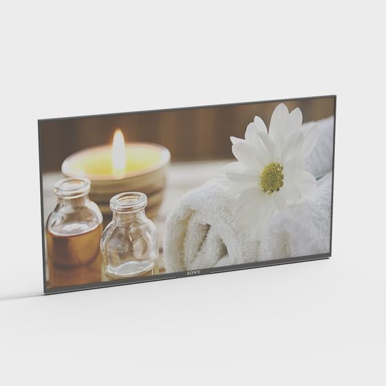 Stylish Brown Beauty Salon Screen 3D Model
