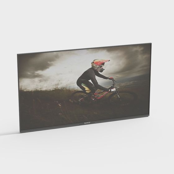 Mountain Biker 3D model for Dynamic Visuals
