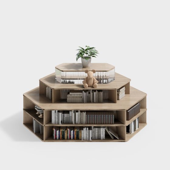 Wood Color Library Bookshelf 3D Model
