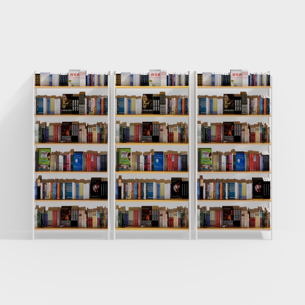Book activity room bookshelf