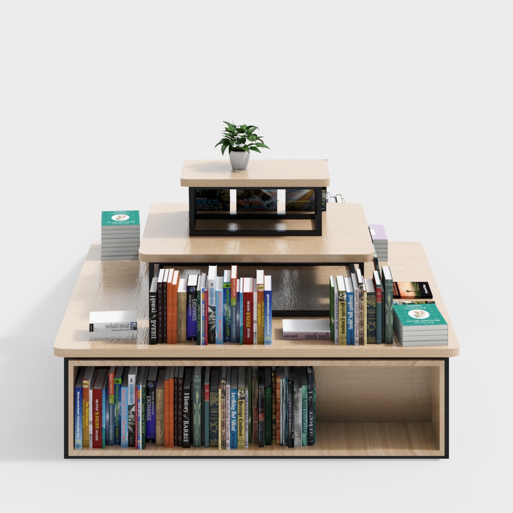 Library display Duotou bookshelf